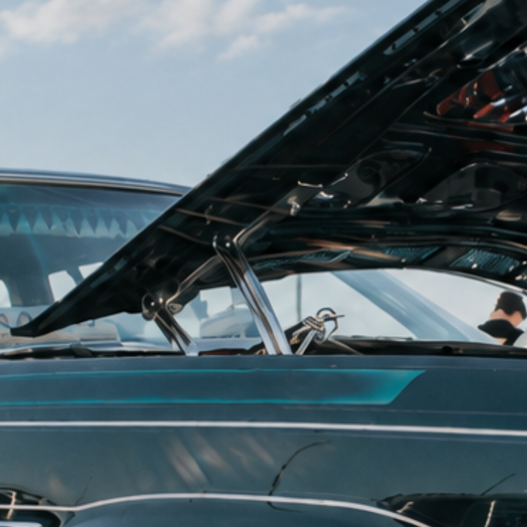 Engine Bay
