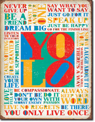 You Only Live Once - Large Metal Tin Sign 40.6cm x 31.7cm Genuine American Made