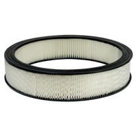 Replacement Paper Filter Element 14" x 3"