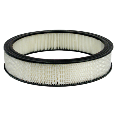 Replacement Paper Filter Element 14" x 3"